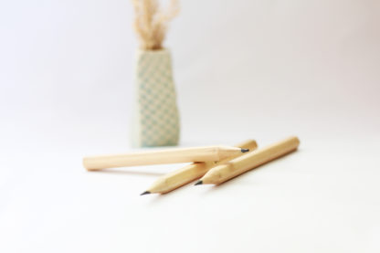 3 x Bleistift